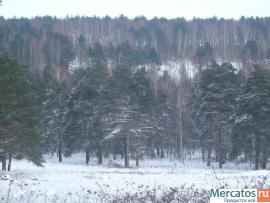 Продам дом на берегу р. Ока в г. Алексин, Тульская область