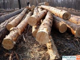 Предлагаем на постоянной основе лес круглый 2