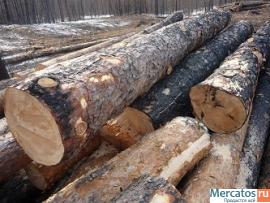 Предлагаем на постоянной основе лес круглый 4