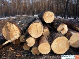Предлагаем на постоянной основе лес круглый 6