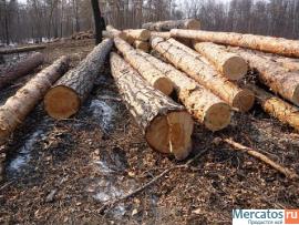 Срочно реализуем кругляк 3