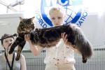 Мейнкуны приглашают невест