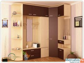 Шкафы-купе из МДФ, пластика, массива на заказ. Более 30 моделей. 6