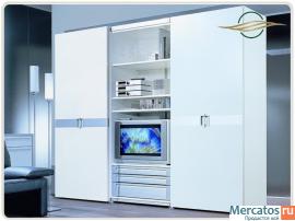 Шкафы-купе из МДФ, пластика, массива на заказ. Более 30 моделей. 8