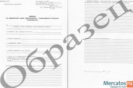 Справка студентам о болезни 095у, в бассейн, в лагерь 079у, 086у 3