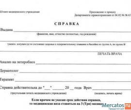 Справка студентам о болезни 095у, в бассейн, в лагерь 079у и дру