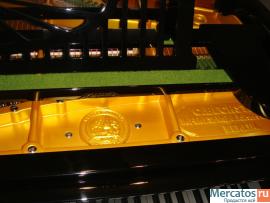 Продам Рояль Bechstein (Бехштейн) реставрация 2011г... 4