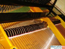 Продам Рояль Bechstein (Бехштейн) реставрация 2011г. 6