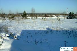 Участок в живописной деревне города Ногинска, д.Починки