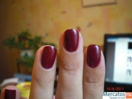 Покрытие Shellac 350р 3