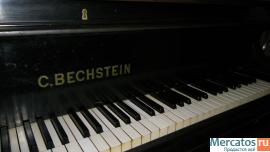 Рояль Салонный "BECHSTEIN"