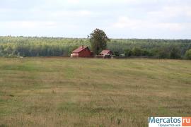 Продаю участок сельхозназначения 12 га в 110 км от Москвы
