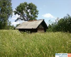 Высокий крепкий дом, родник у дома, баня по черном