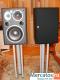 Мониторная акустика JBL Northridge E50