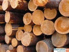 Продам лес кругляк сосна 6м с доставкой в Челябинск