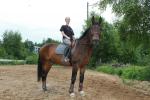 Обучение верховой езде, катания на лошадях и понях