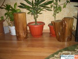 Пни для декора 2