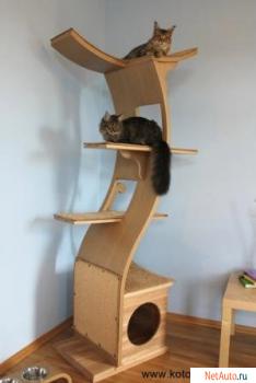 Домики для кошек