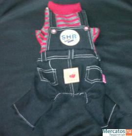 Оптом и в розницу осенне-зимняя одежда и акссесуары для животных