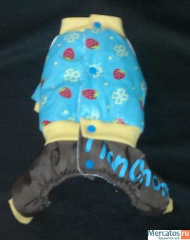 Оптом и в розницу осенне-зимняя одежда и акссесуары для животных 5