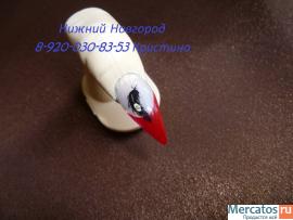 Наращивание ногтей 700 руб. гель 8-920-030-83-53 2