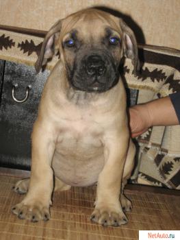 Внимание! Новогодние скидки.