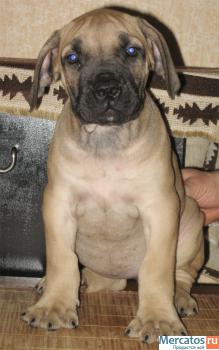 Внимание! Новогодние скидки. 2