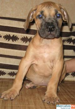 Внимание! Новогодние скидки. 3