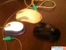 Мыши продаются отдельно 2