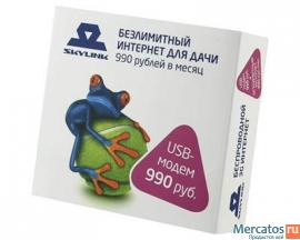 Skylink Безлимитный интернет для дачи 2