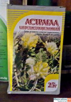 Астрагал шерстистоцветковый