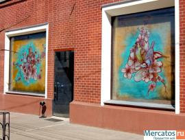 Роспись жилых и общественных помещений. Роспись стен, потолков,ф 5