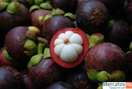 Антиоксидантный сок Ксанго Харьков 2