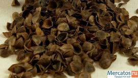 Продам лузгу гречихи. 2