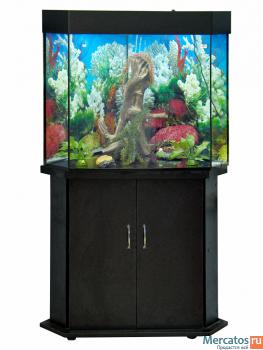 Аквариумы и комплектующие. Дизайн и сервисное обслуживание. 2