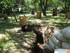 пейнтбольные игры и мероприятия для всех желающих в Днепропетров 7