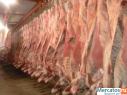 Мясо говядина оптом от 19 тонн со склада