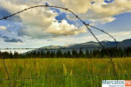 колючая проволока 2