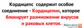 Повысь свой иммунитет! Лучшие инновационные продукты!