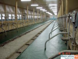 Производим напольное покрытие для животноводческих комплексов "А