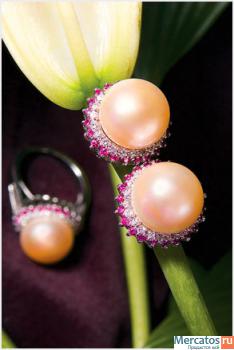 Рекламная и предметная фотосъемка. Фотосъемка меню и интерьеров. 3