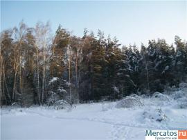 Лесной участок 8 сот. на окраине г. Домодедово