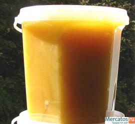 Цветочный мёд оптом от производителя