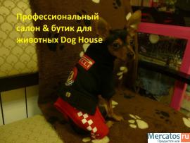 Профессиональный салон & бутик для собак и кошек Dog House