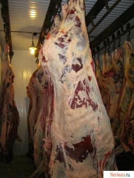 Оптовая и мелкооптовая продажа мяса