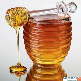 Мёд оптом с пасики в Омской области. от 100 кг.