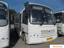 Пригородный автобус ПАЗ 320402-03