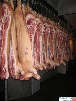 Мясо оптом (говядина,свинина) 110р/кг