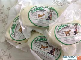 Оптовые поставки козьего сыра Халуми с Кипра