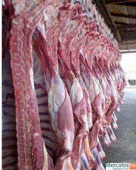Мясо ОПТОМ от производителя от 160 руб /кг